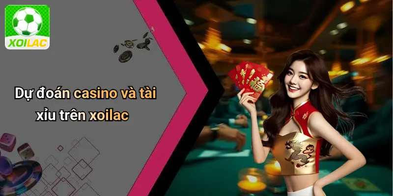 Dự đoán casino và tài xỉu trên xoilac