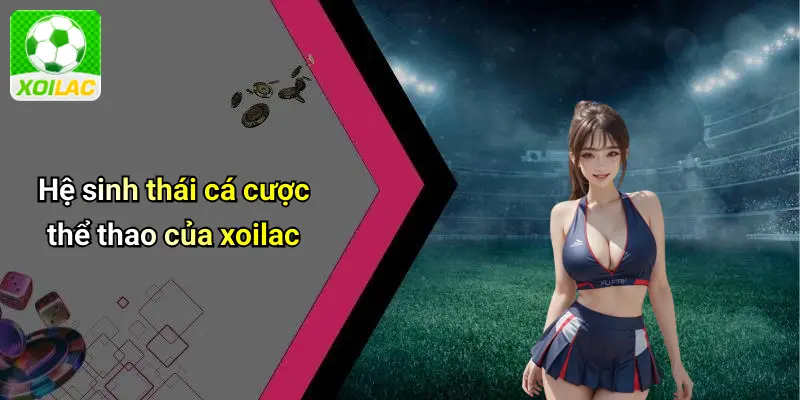 Hệ sinh thái cá cược thể thao của xoilac