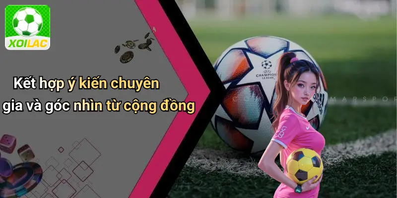 Kết hợp ý kiến chuyên gia và góc nhìn từ cộng đồng