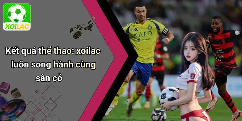 Kết quả thể thao: xoilac luôn song hành cùng sân cỏ