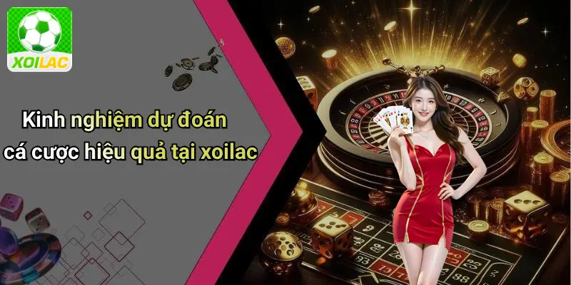 Kinh nghiệm dự đoán cá cược hiệu quả tại xoilac