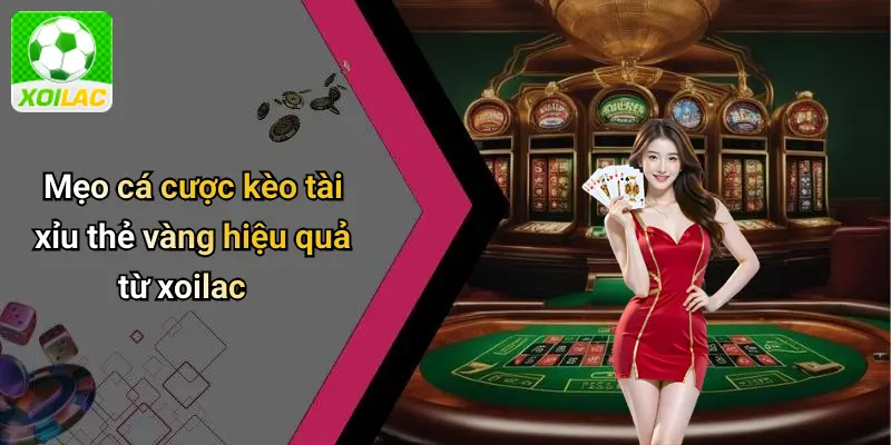 Mẹo cá cược kèo tài xỉu thẻ vàng hiệu quả từ xoilac