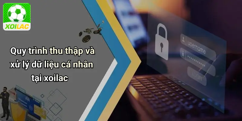 Quy trình thu thập và xử lý dữ liệu cá nhân tại xoilac
