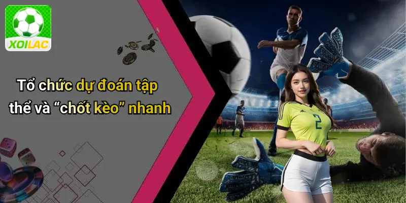 Tổ chức dự đoán tập thể và “chốt kèo” nhanh