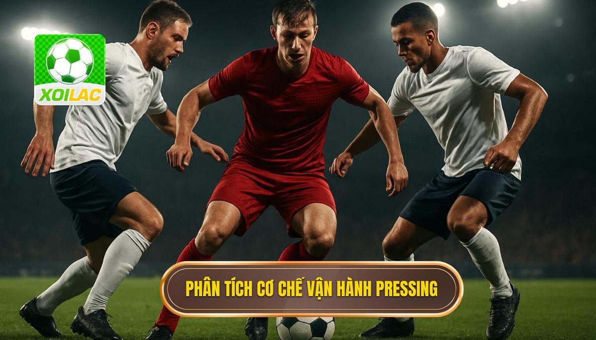 Phân tích chuyên sâu cơ chế vận hành pressing