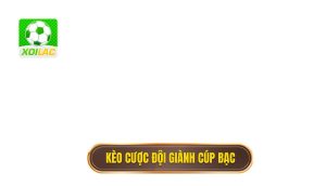 Kèo cược đội giành cúp bạc