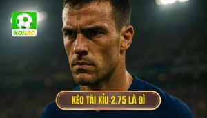 Kèo tài xỉu 2.75 là gì