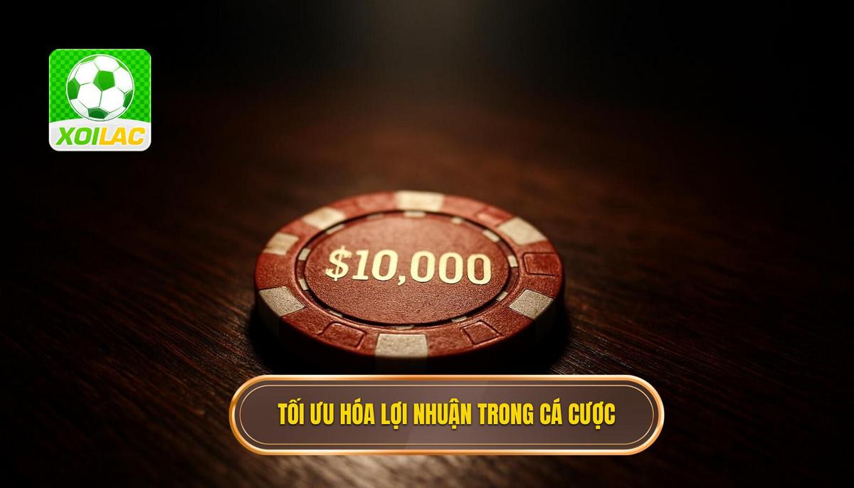 Bản chất của việc tối ưu hóa tỷ lệ lợi nhuận trong cá cược