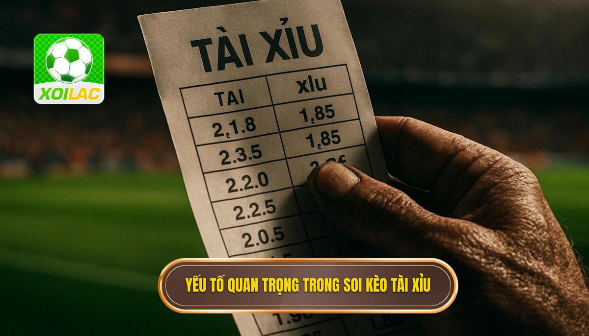 Phân tích các yếu tố then chốt khi soi kèo tài xỉu