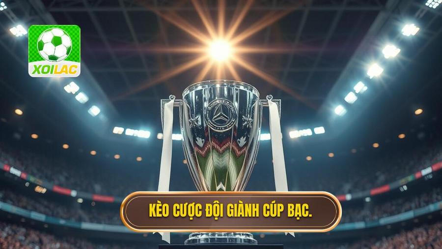 Kèo cược đội giành cúp bạc