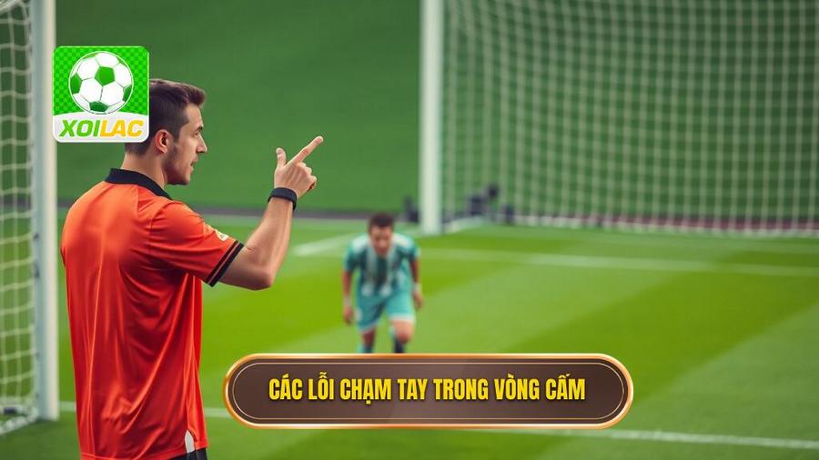 3. Các lỗi chạm tay trong vòng cấm
