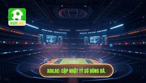 XOILAC_ Cập nhật tỷ số bóng đá