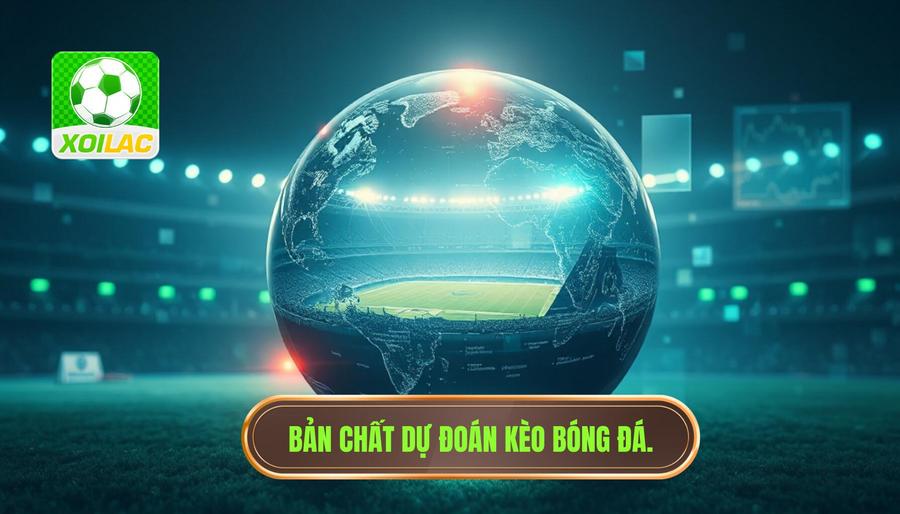 Hiểu đúng về bản chất của dự đoán kèo bóng đá