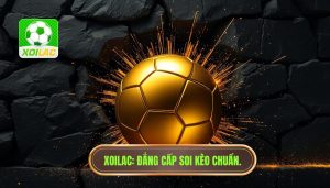 Đội cửa dưới có dễ tạo địa chấn không? Phân tích từ XOILAC