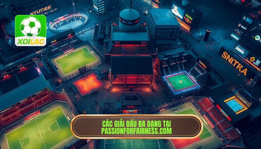 Hệ thống giải đấu đa dạng tại passionforfairness.com Hệ thống giải đấu đa dạng tại passionforfairness.com