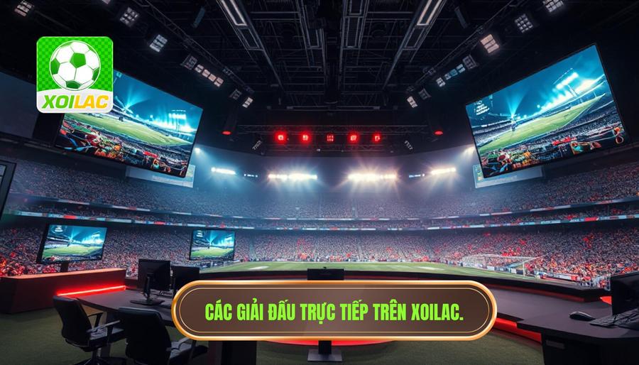 3. Các giải đấu được phát sóng trực tiếp trên Xoilac xem bóng đá HD 3. Các giải đấu được phát sóng trực tiếp trên Xoilac xem bóng đá HD